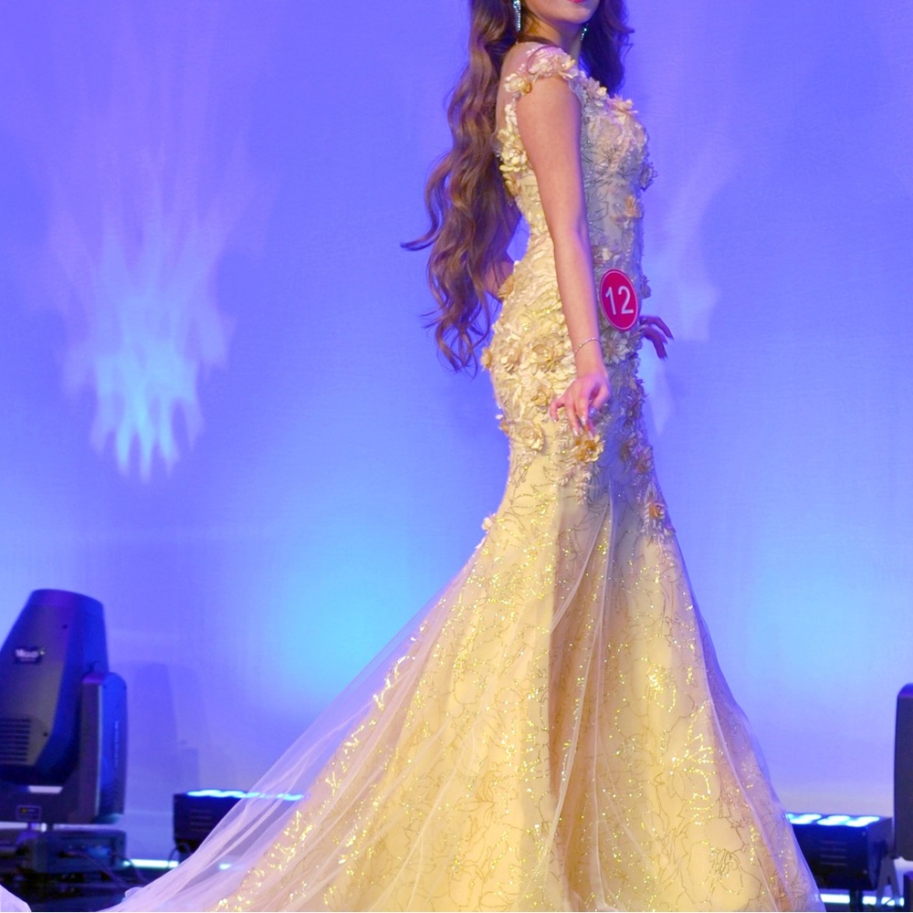 Evening Gown - image 3